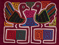 Turkey Bird Encounter Mola