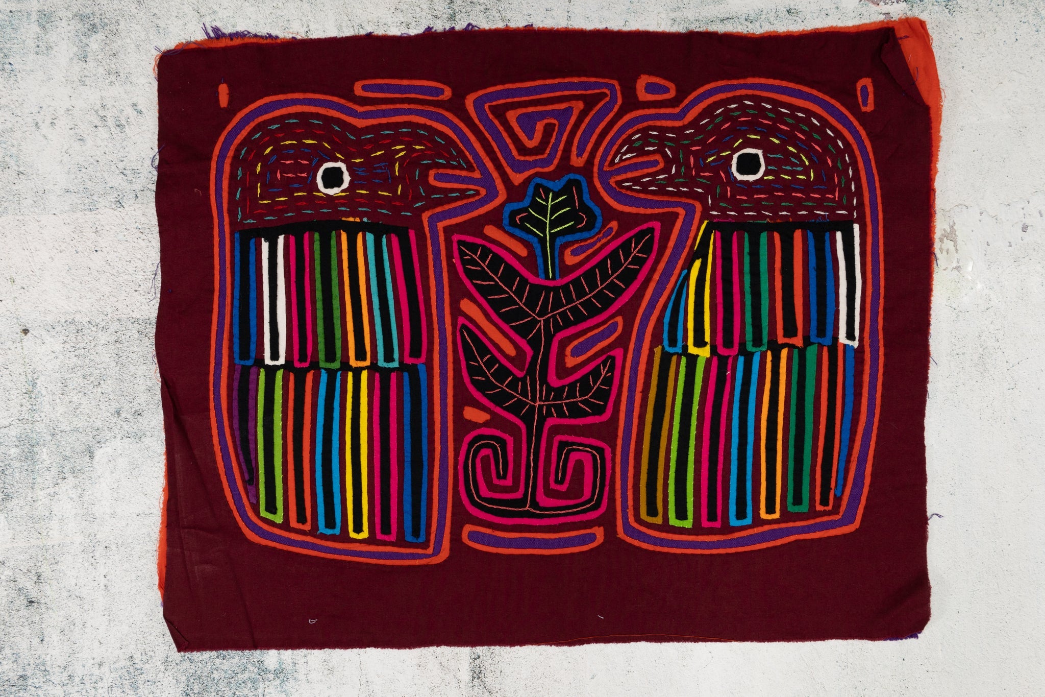 Rainbow Feather Gossip Bird Mola