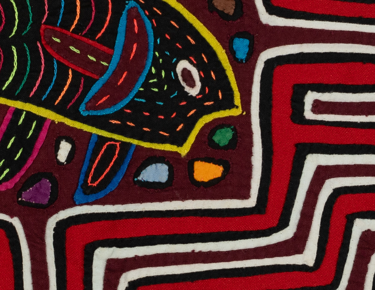 Red And White Rainbow Trout Fish Mola