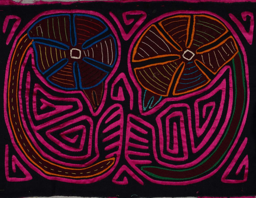 Black And Pink Twin Embryo Mola