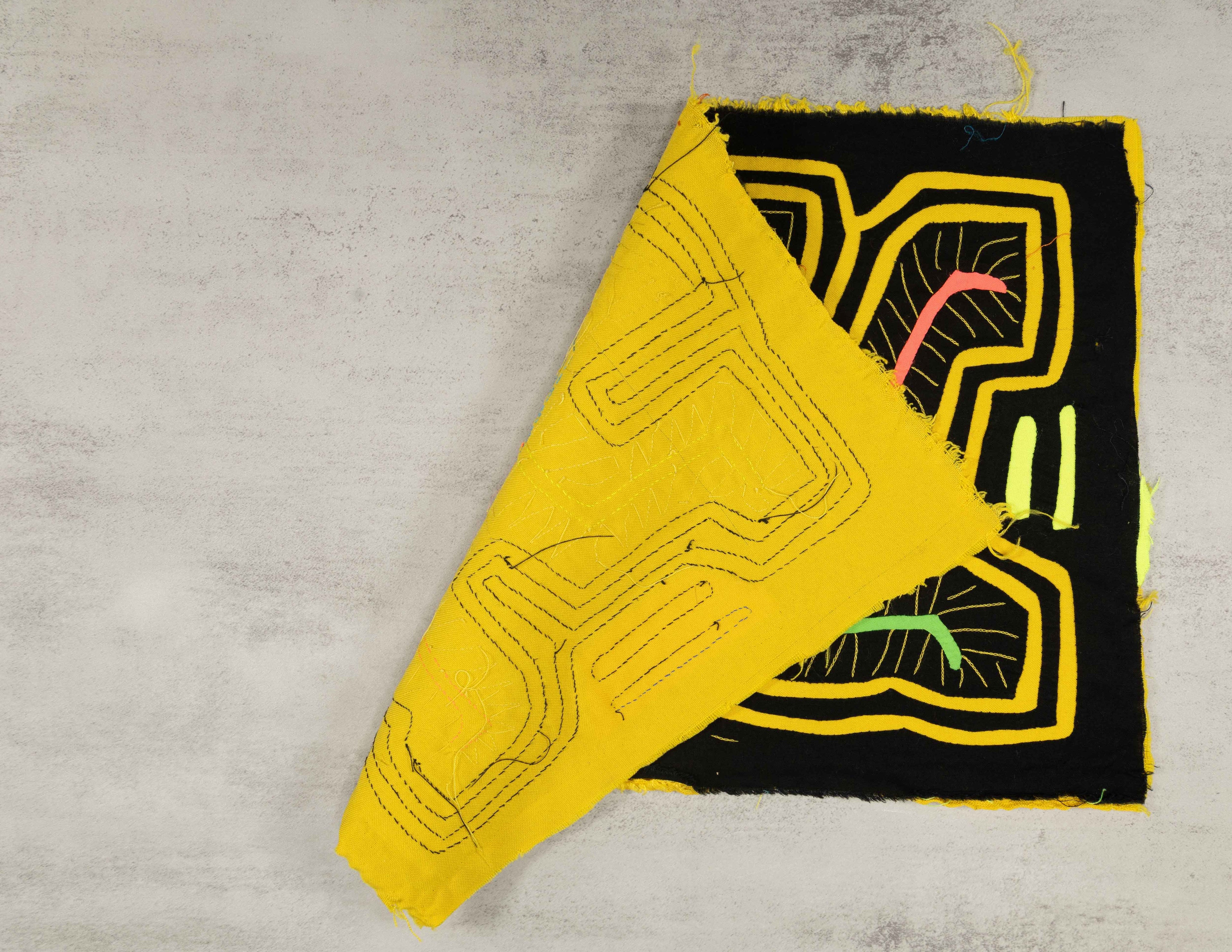 Yellow And Black Cat On the Prowl Mola