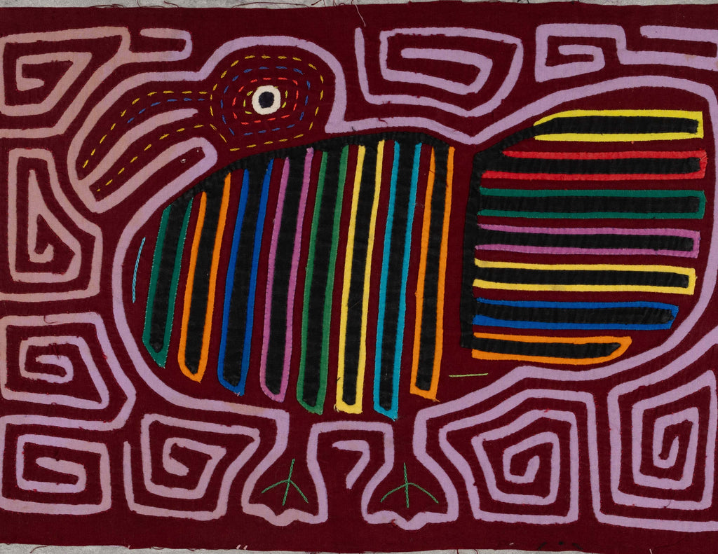 Burgundy And Purple Pigeon Bird Mola