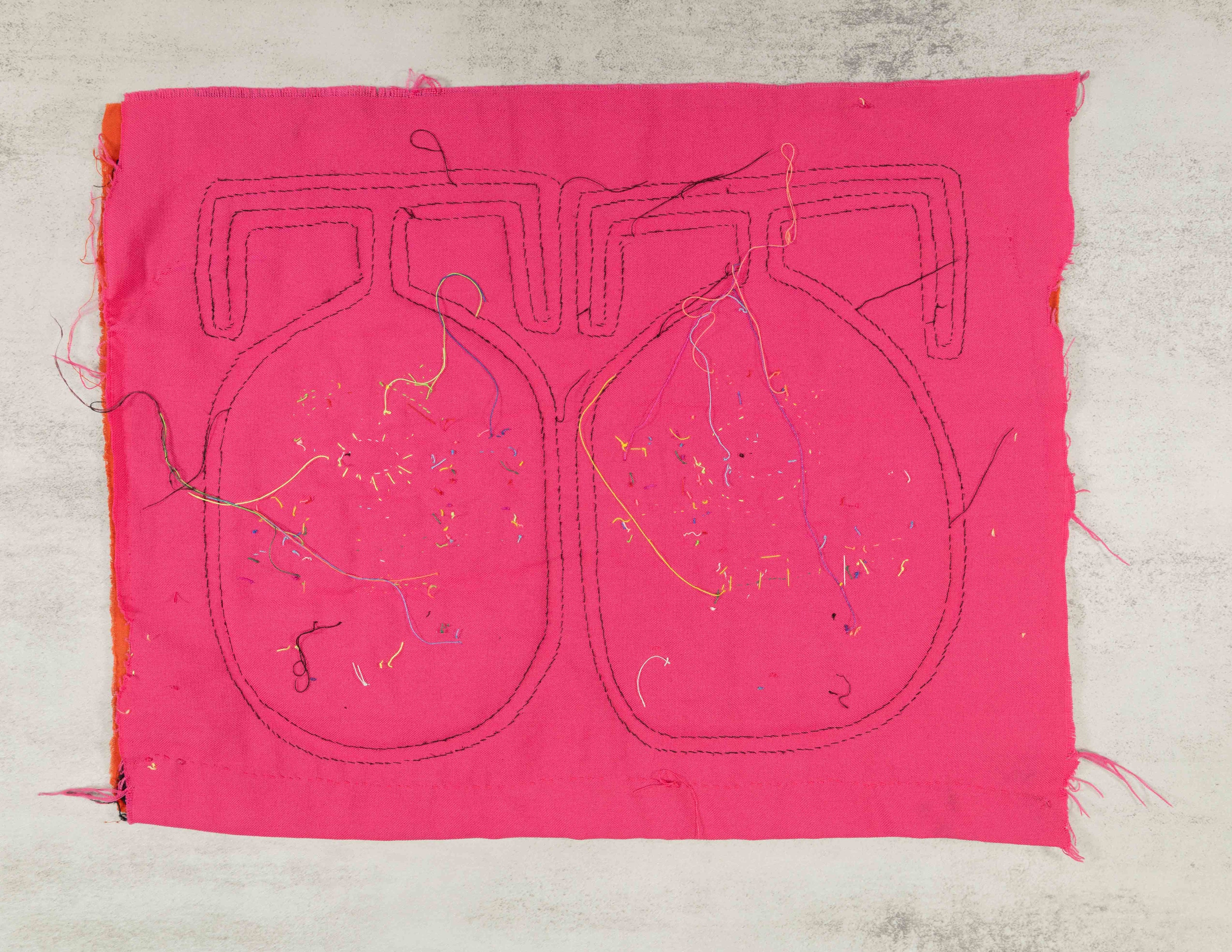 Orange And Pink Puppy Dog Mola