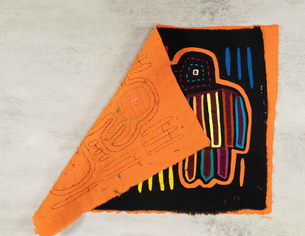 Orange And Black Buzzard Bird Mola