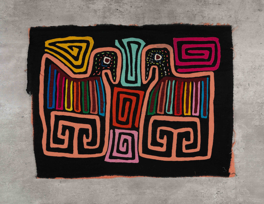 Black And Orange Gossip Bird Mola