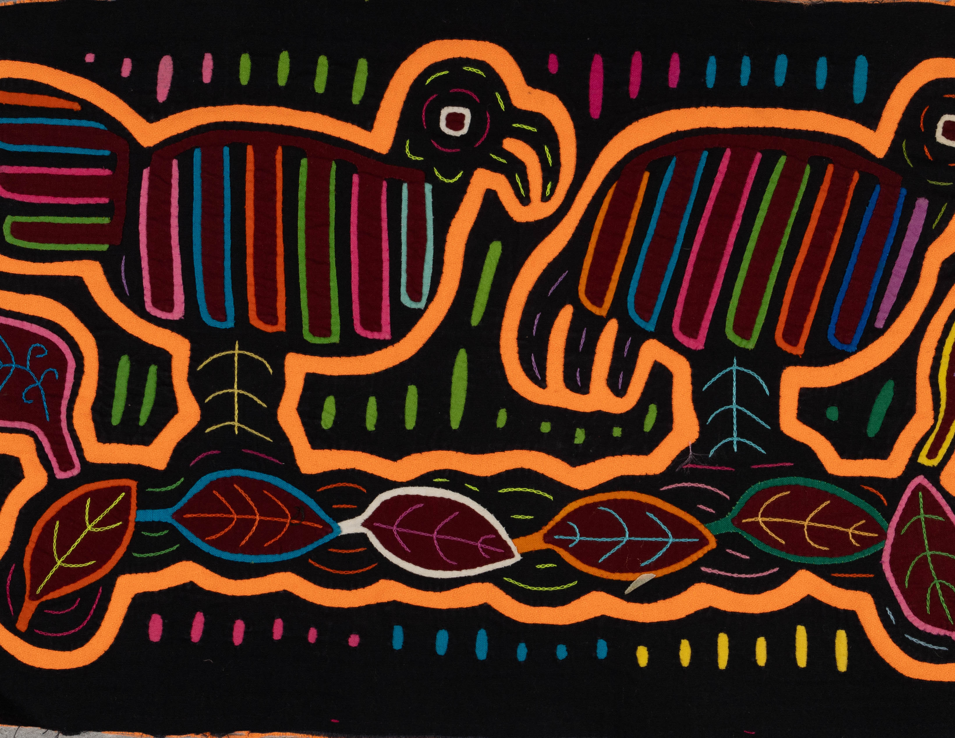 Neon Orange And Black Pigeon Bird Mola