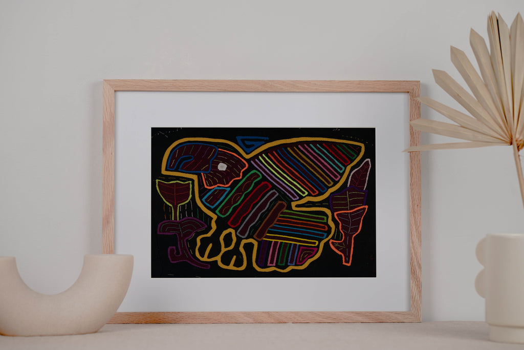 Rainbow Of Color Parrot IN Flight Mola