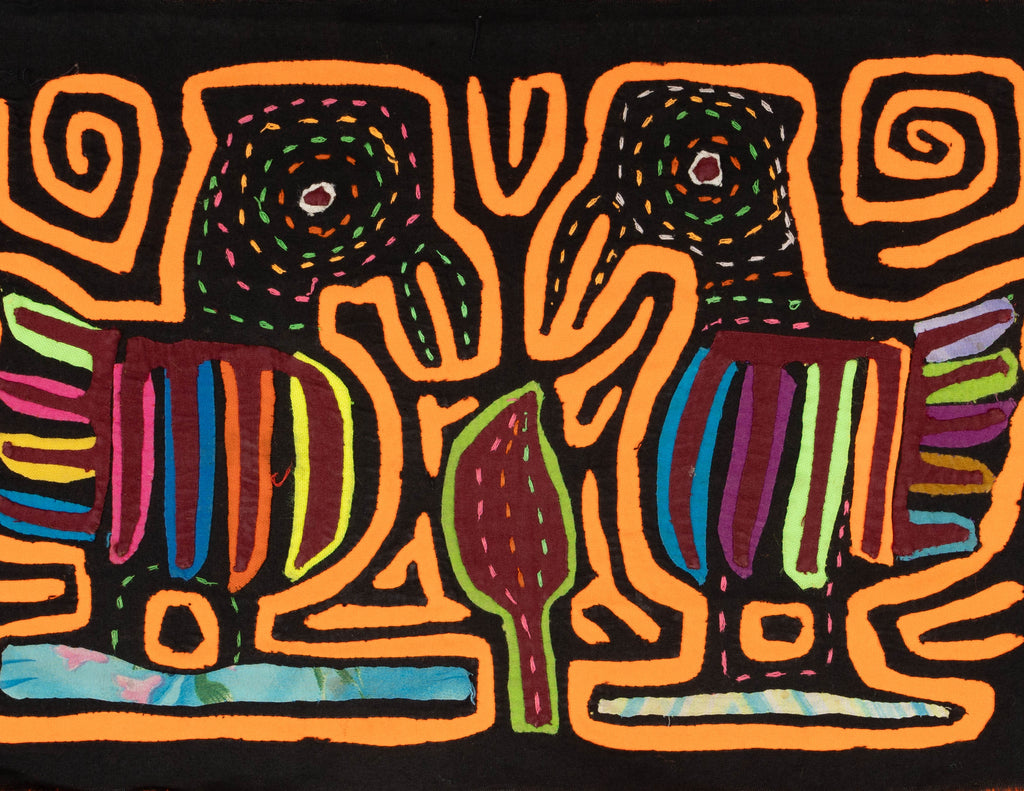 Black And Orange Gossip Bird Mola