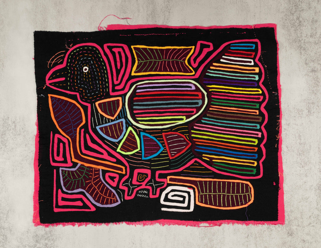 Black And Rainbow Pink Pigeon Dove Bird Mola