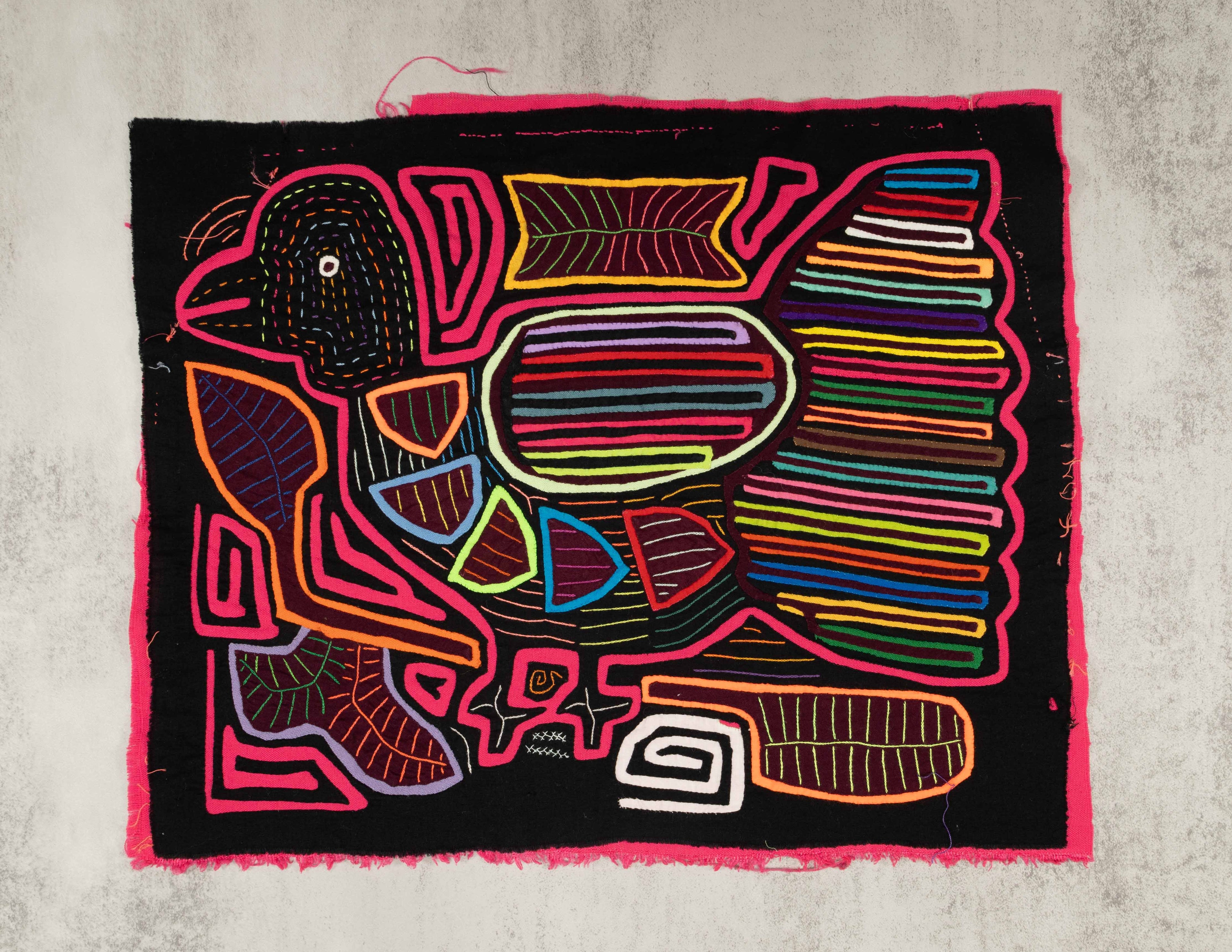 Black And Rainbow Pink Pigeon Dove Bird Mola