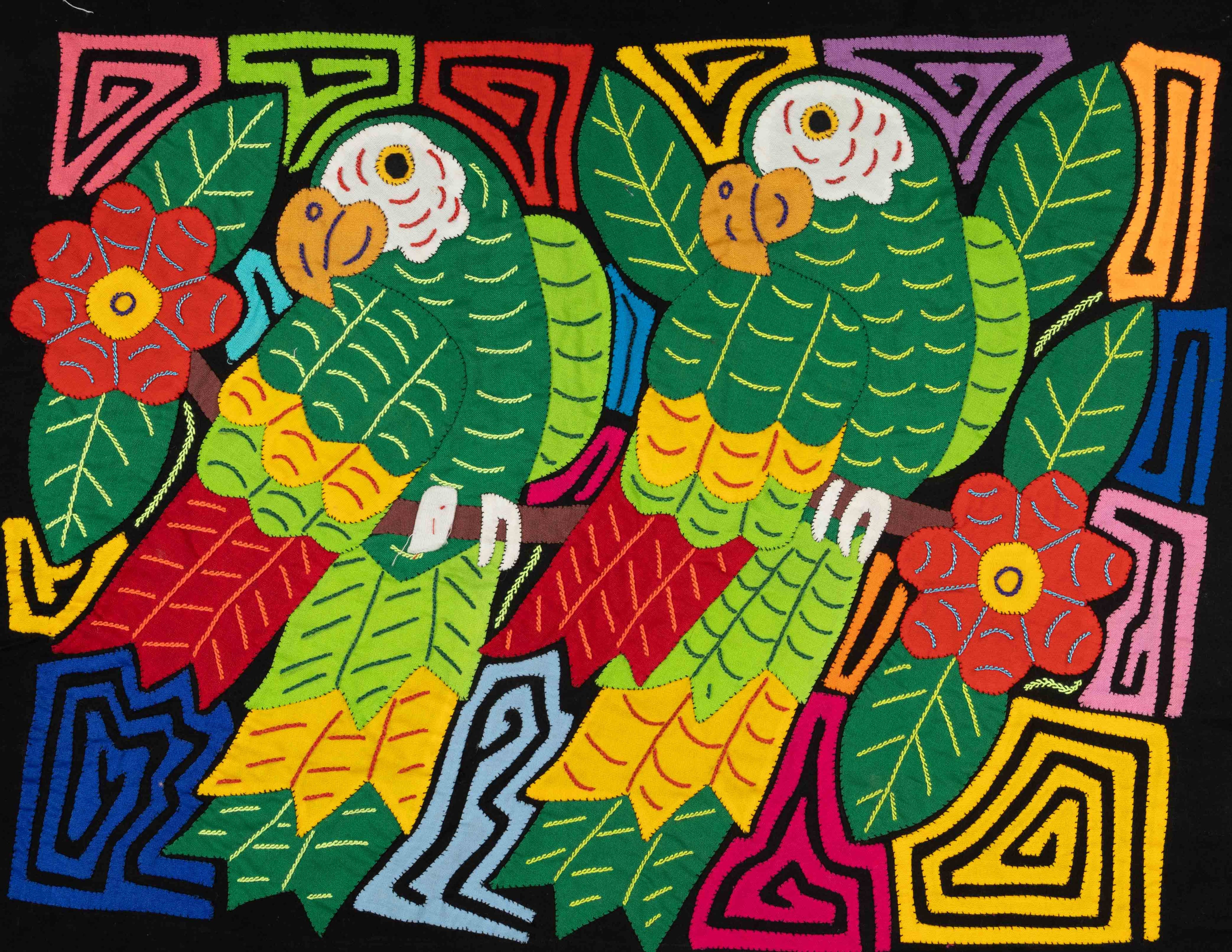 Two Rainforest Coy Parrot Mola