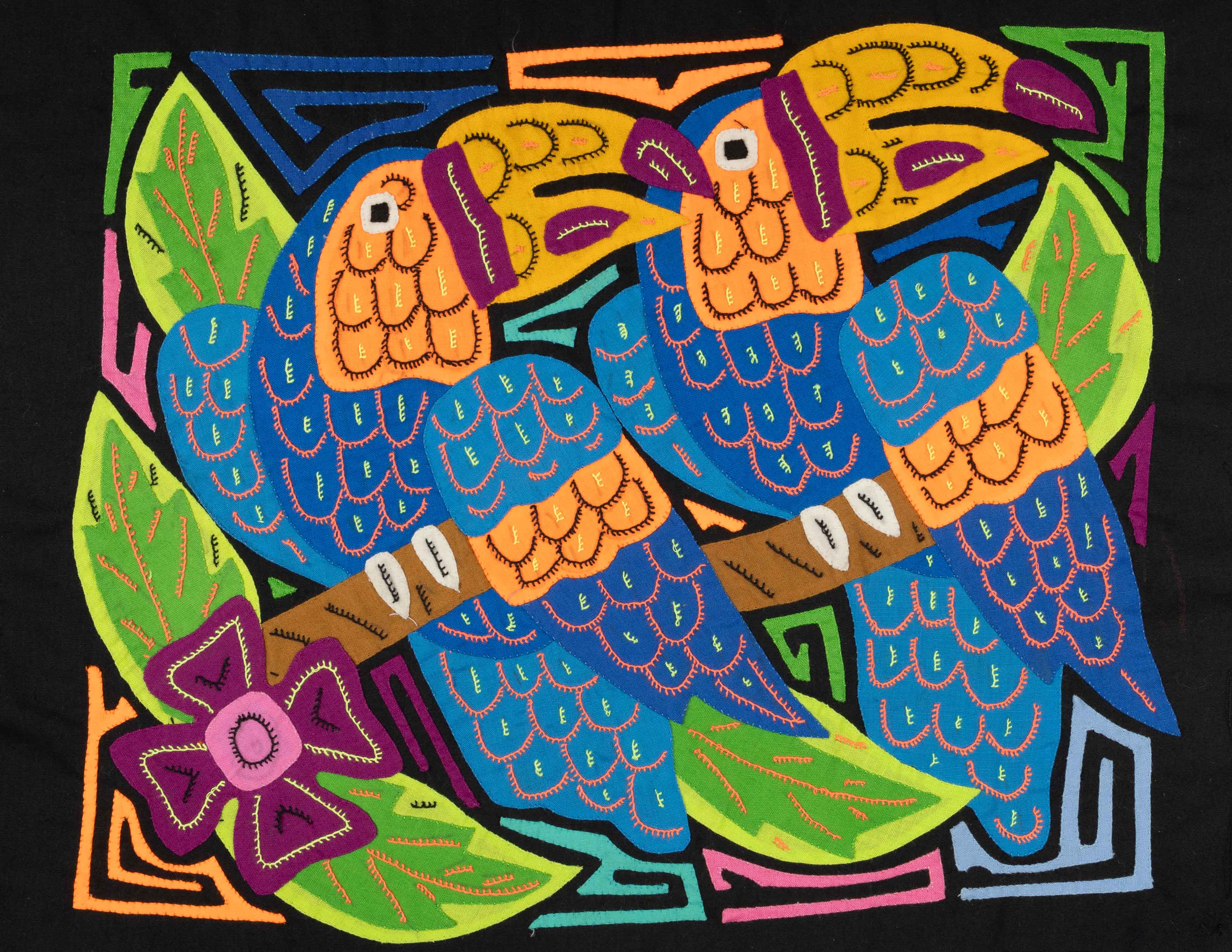 Blue And Gold Toucan Parrot Bird Mola