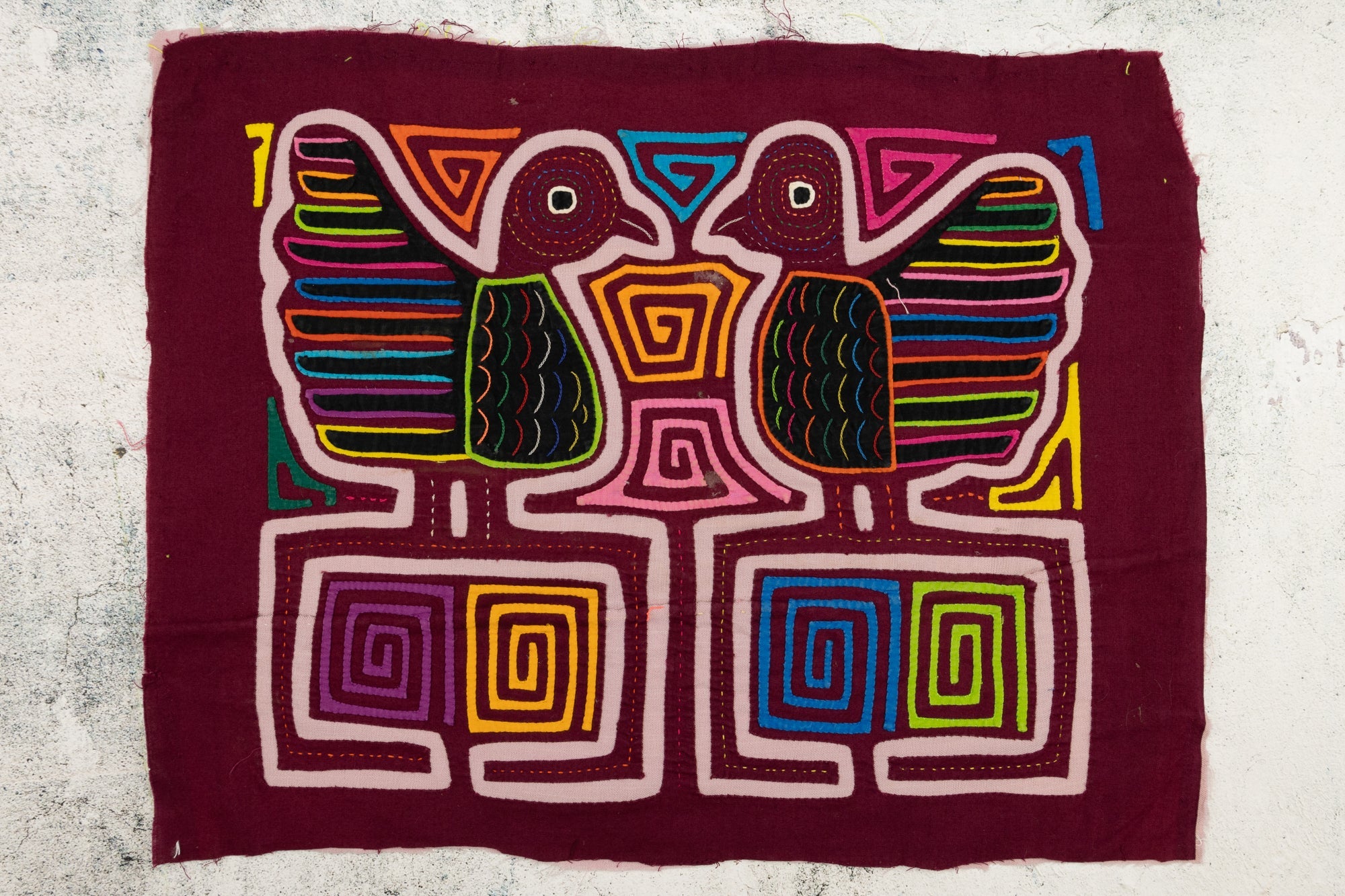 Rainbow Chickadee Mola
