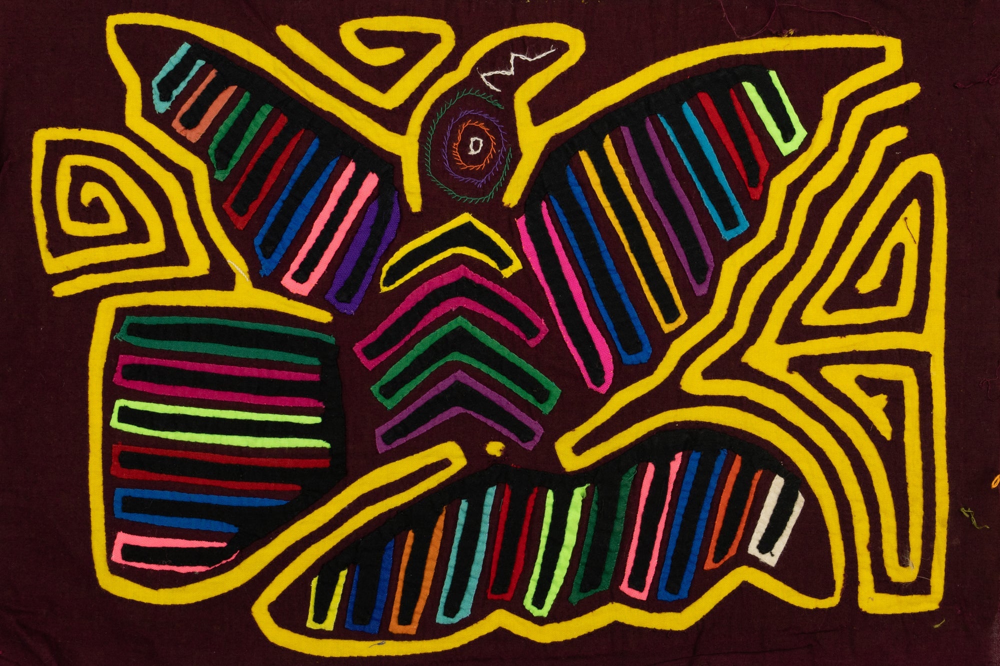 Tail Feather Bird Mola