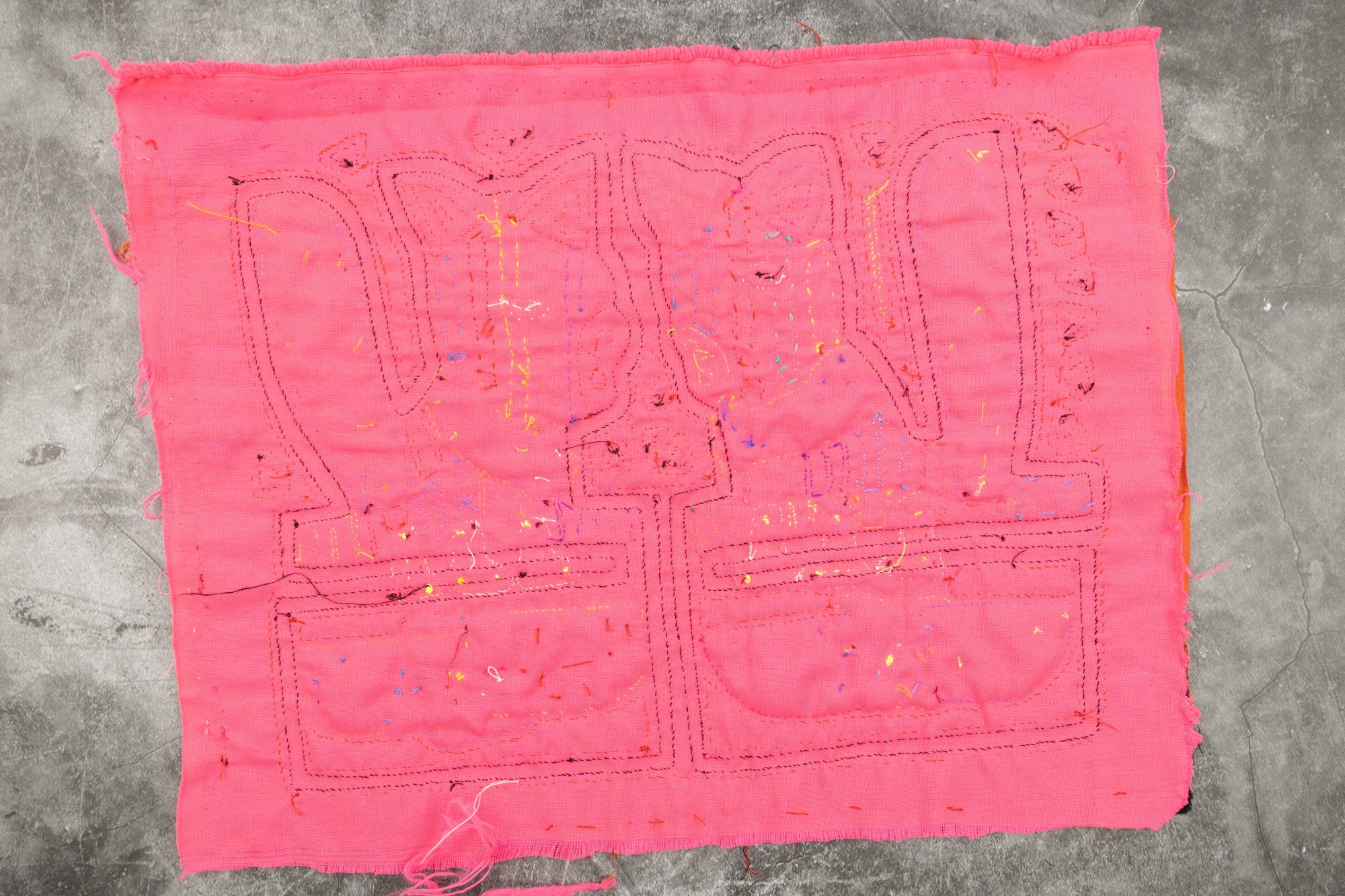 Pink Puppy Dog Mola