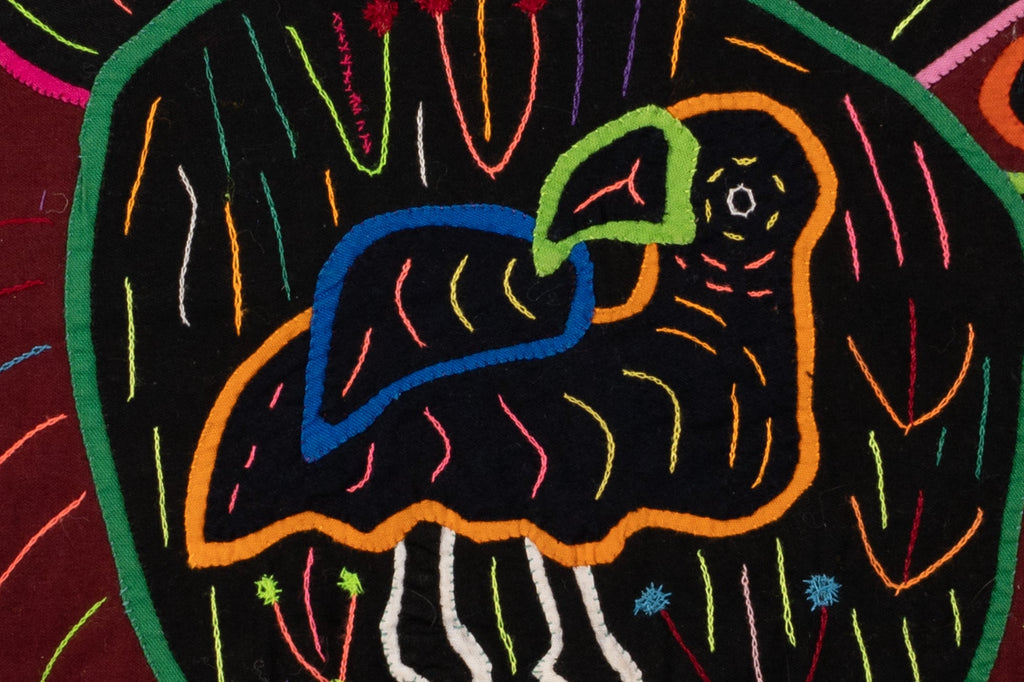 Cosmic Black Hole Parrot Two Mola
