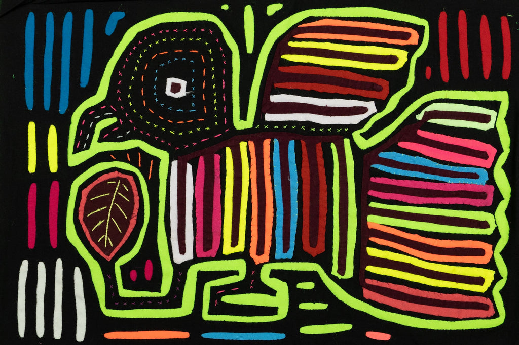 Rainbow Rainforest Bird Mola