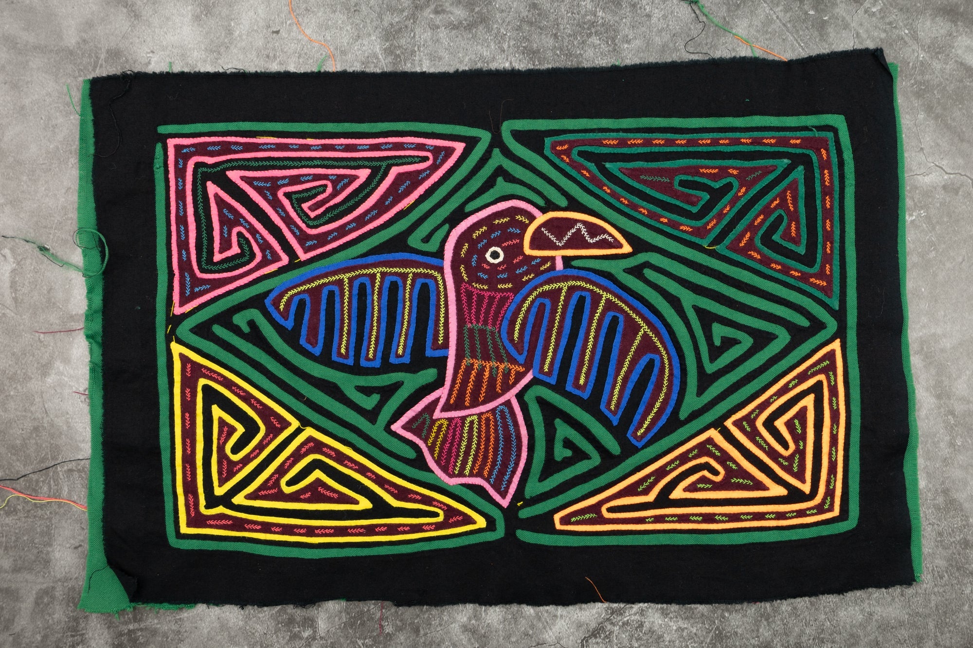 Rainbow Canary Mola