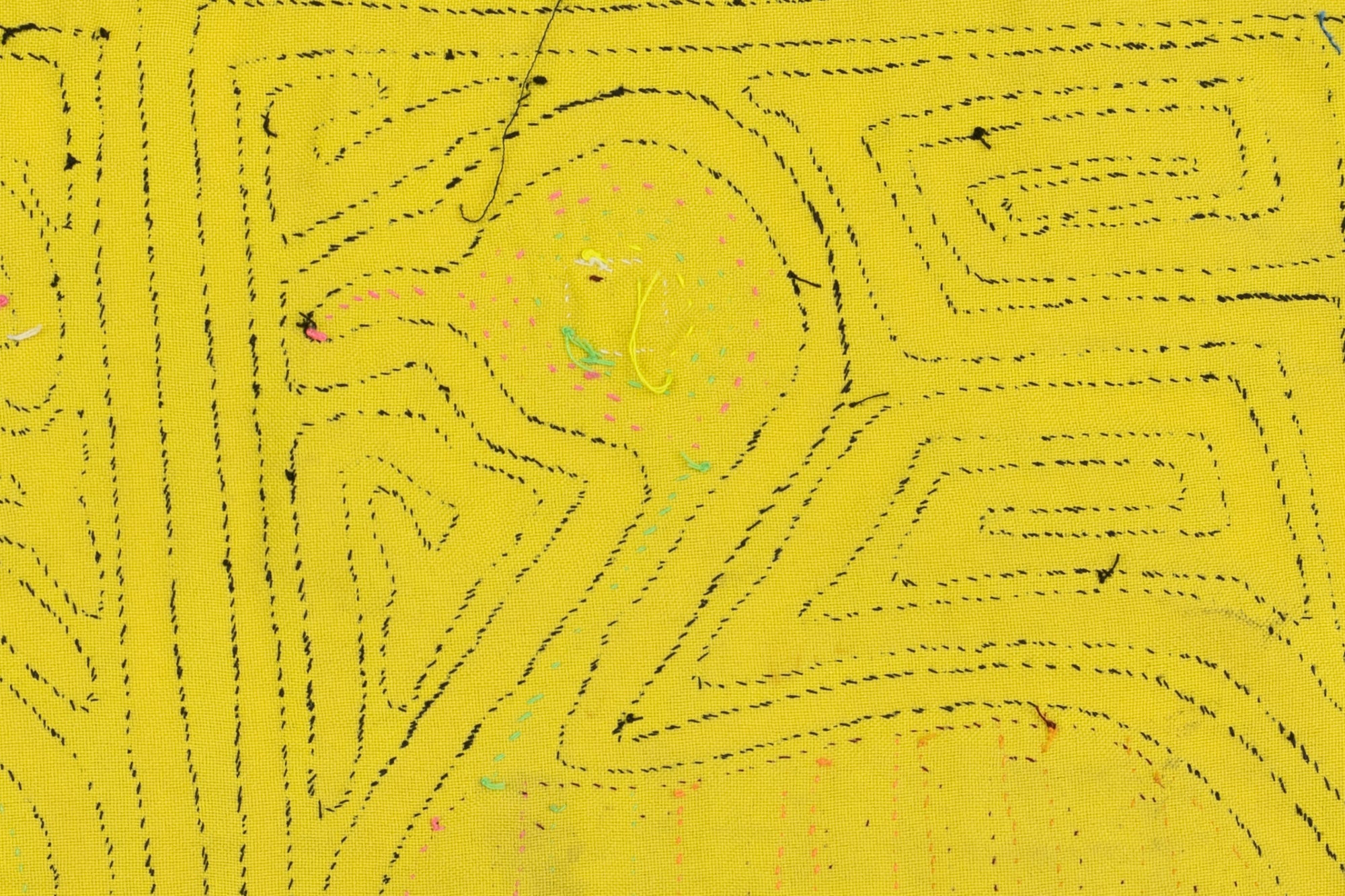 Yellow Goose Bird Mola+