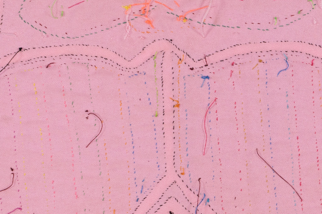 Rainbow Pink Goose Bird Mola