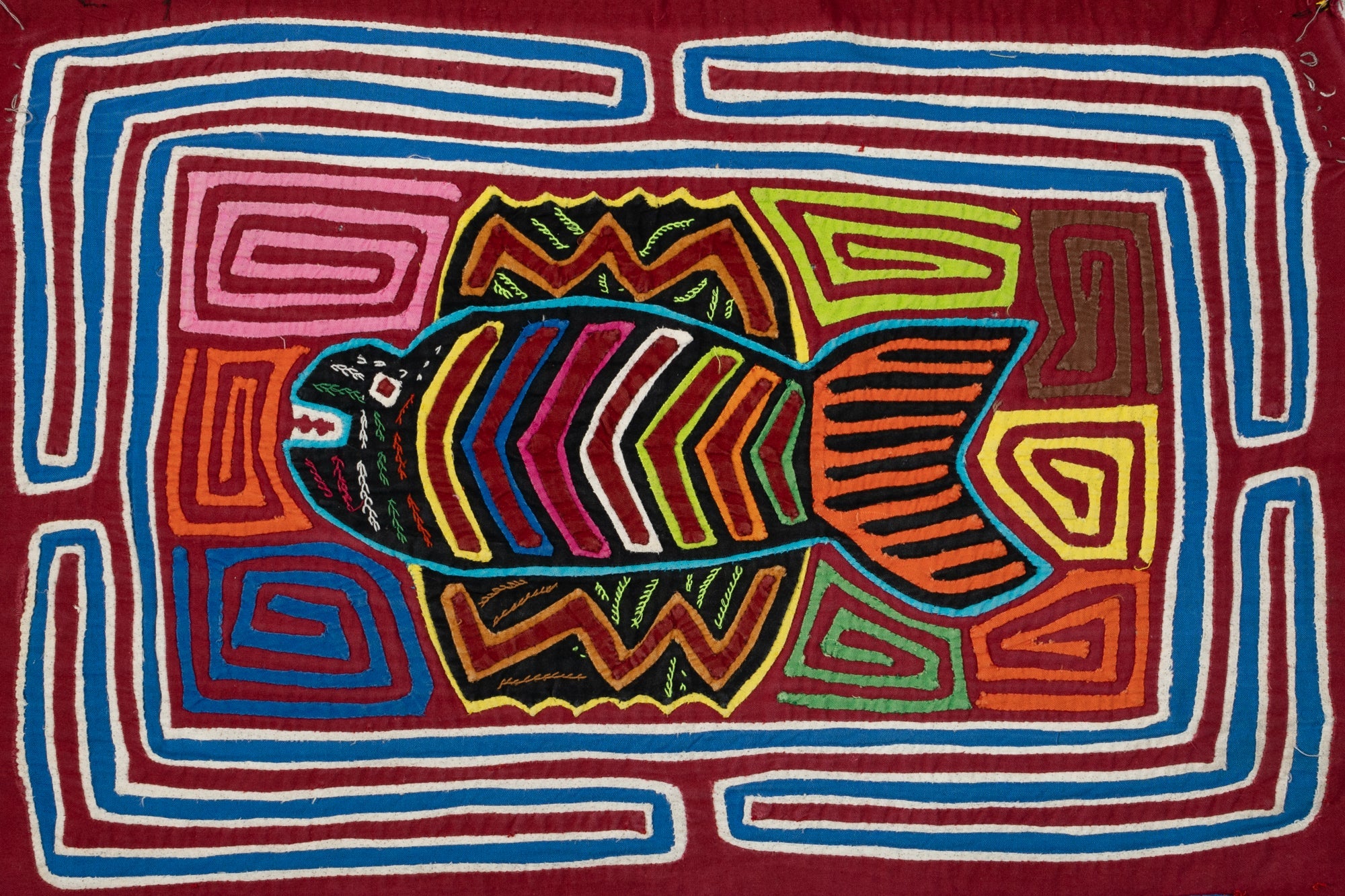 Tropical Rainbow Trout Fish Mola