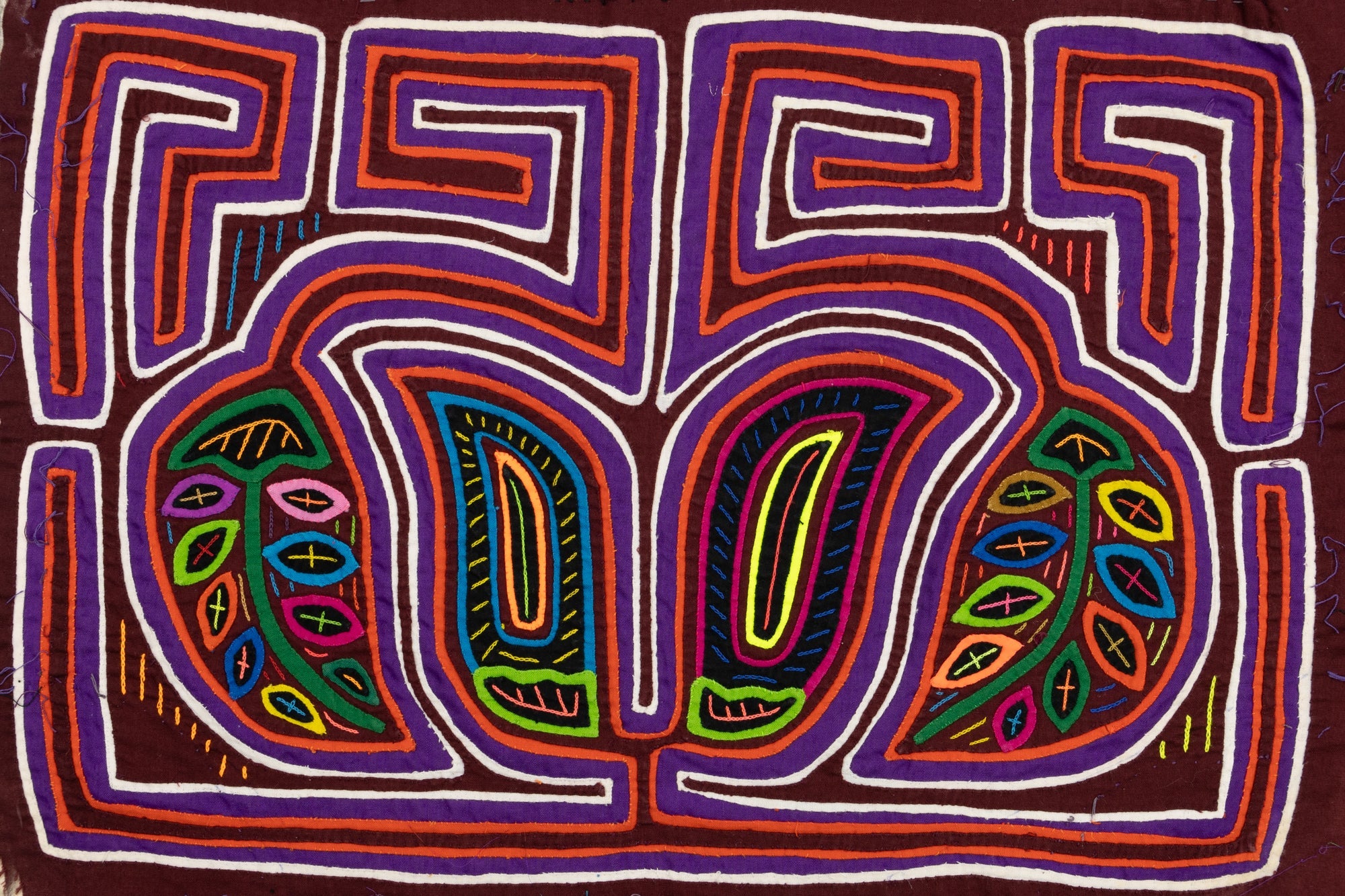 Legume Bloom Mola