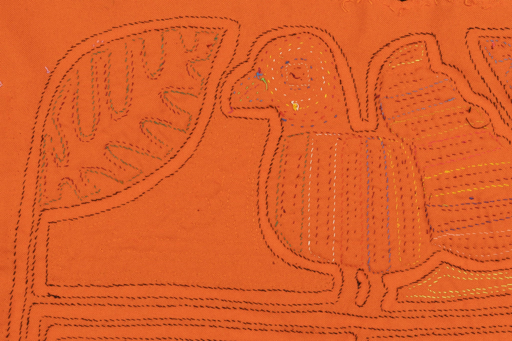 Rainbow Pigeon Bird Mola
