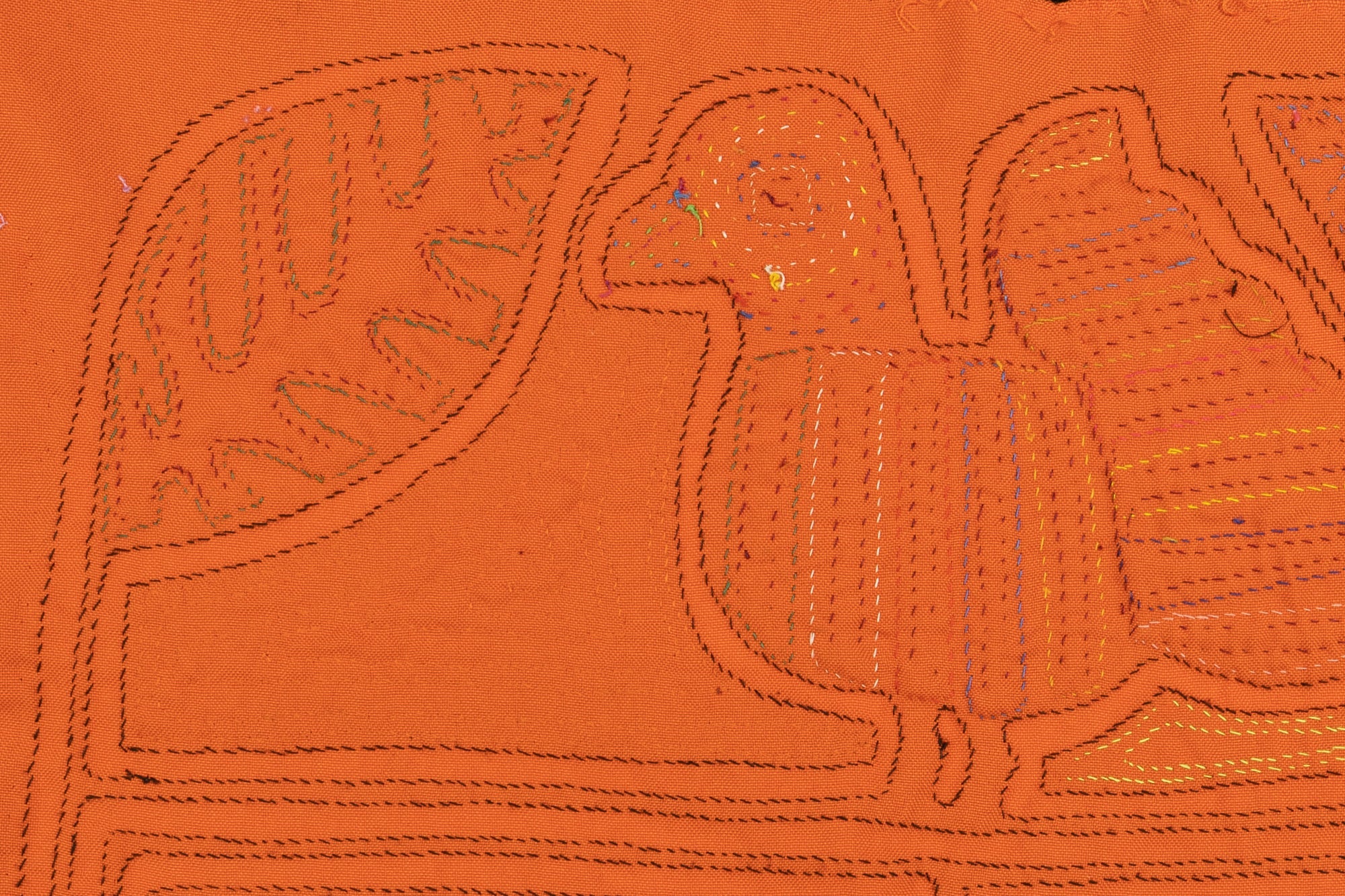 Rainbow Pigeon Bird Mola