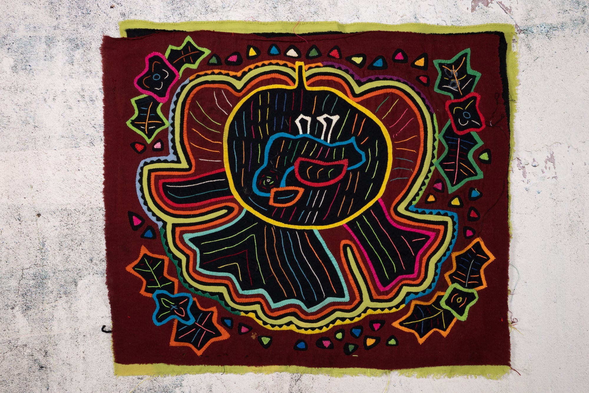Cosmic Black Hole Parrot Bird Mola