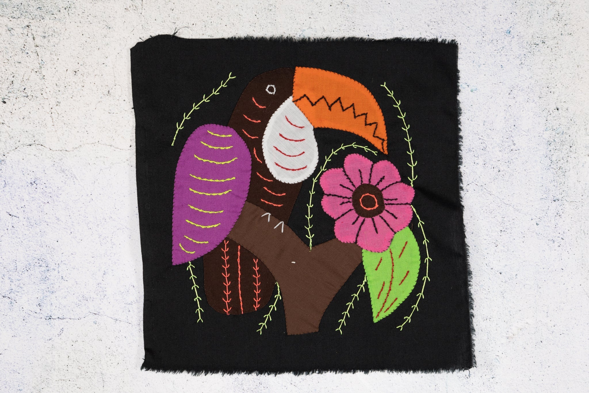 Brown And Purple Toucan Parrot Bird Molita