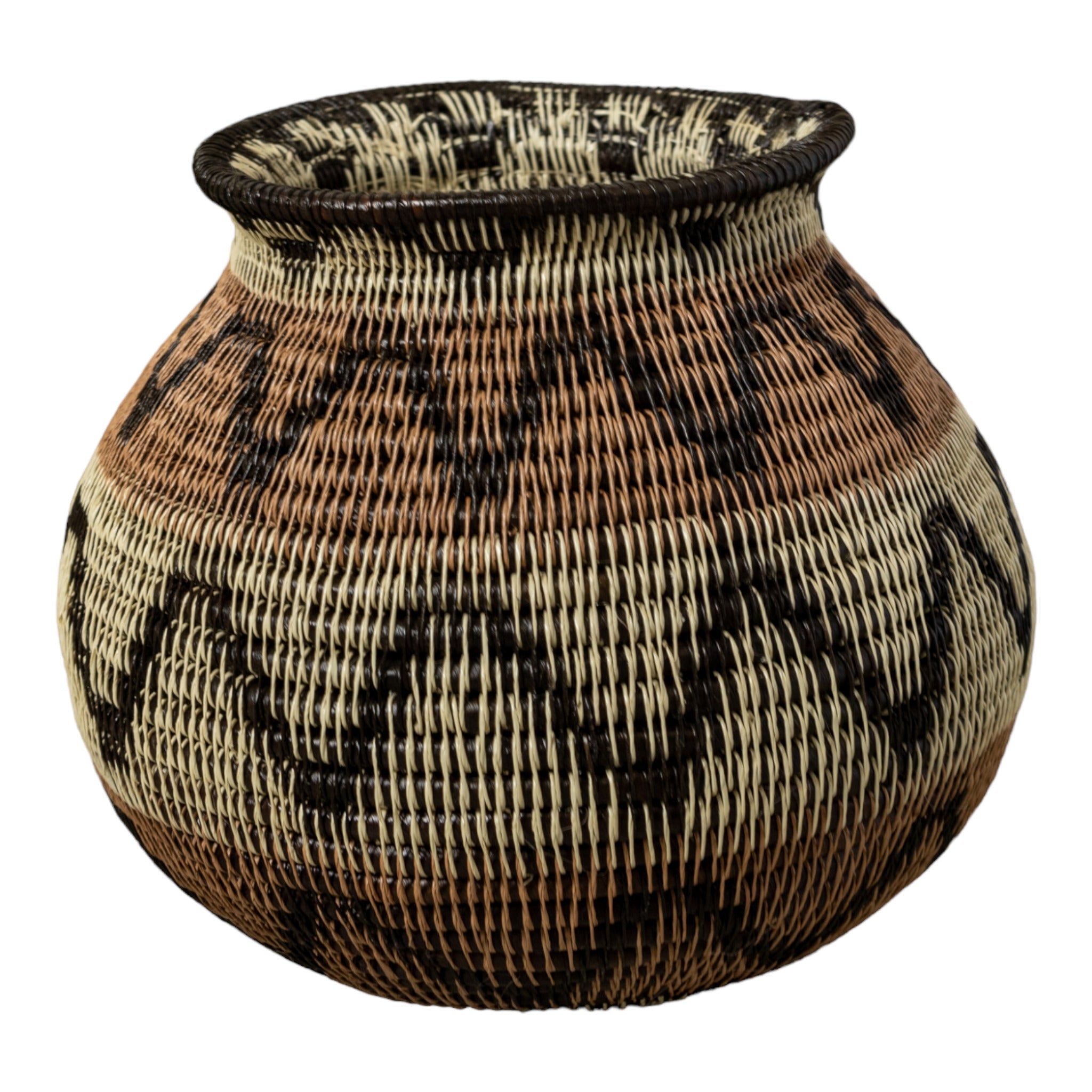 Black Volts of Lightning Rainforest Basket