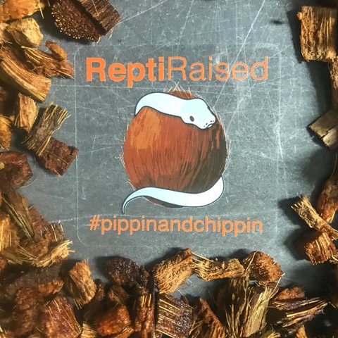 Ralph Sticker Pack