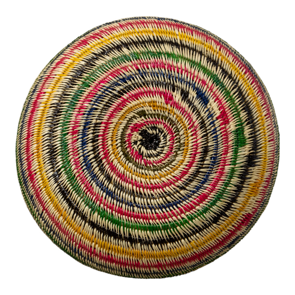 Rainbow of Colors Jungle Rainforest Basket