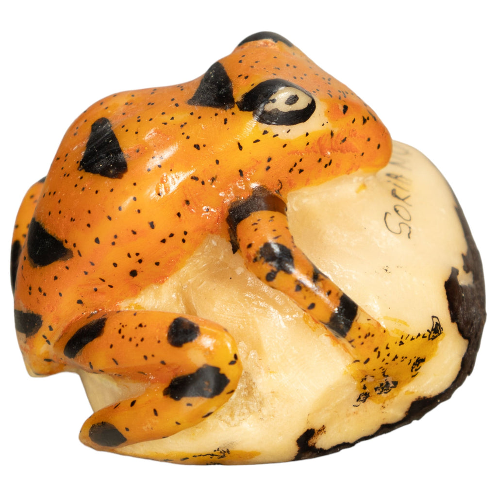 Vintage Frog Tagua Nut Carving