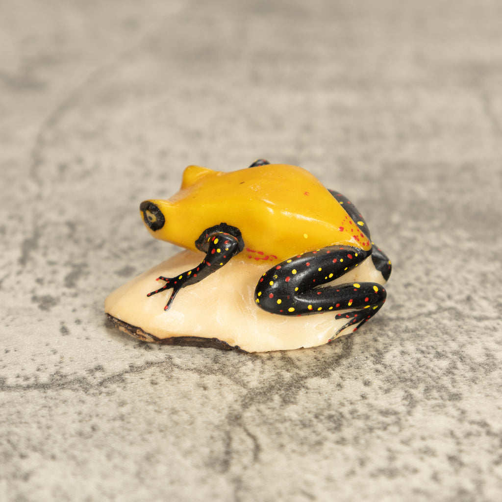 Vintage Poison Dart Tagua Nut Carving