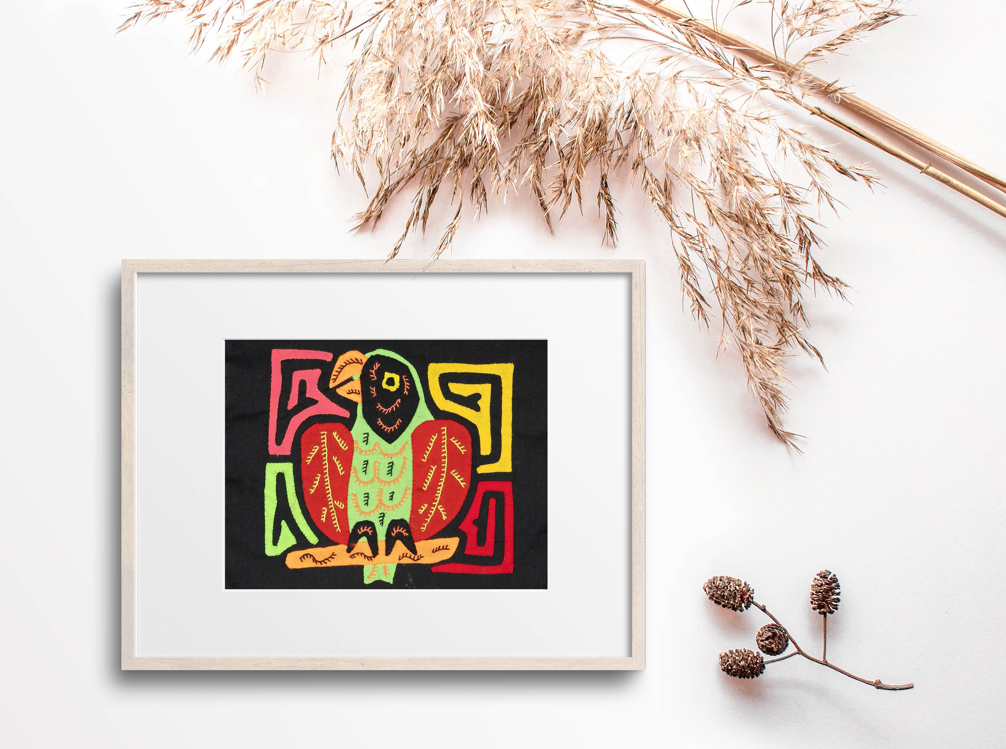 Red And Green Parrot Bird Molita