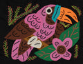Multi-Color Toucan Bird Pink And Brown Molita