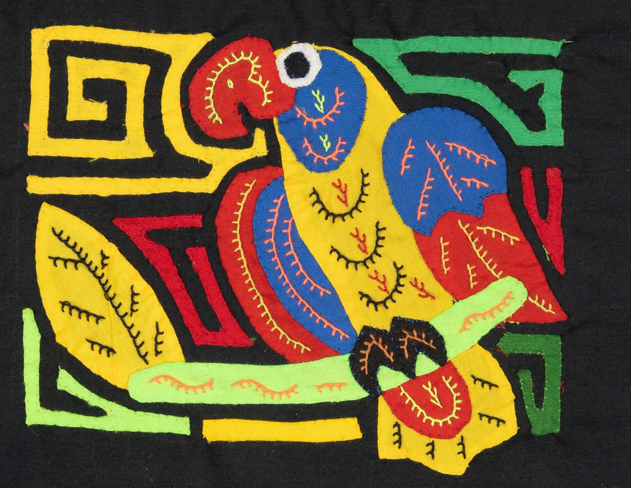 Yellow Blue And Red Bird Molita