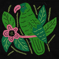 Multi-Color Parrot Bird Green And Pink Molita