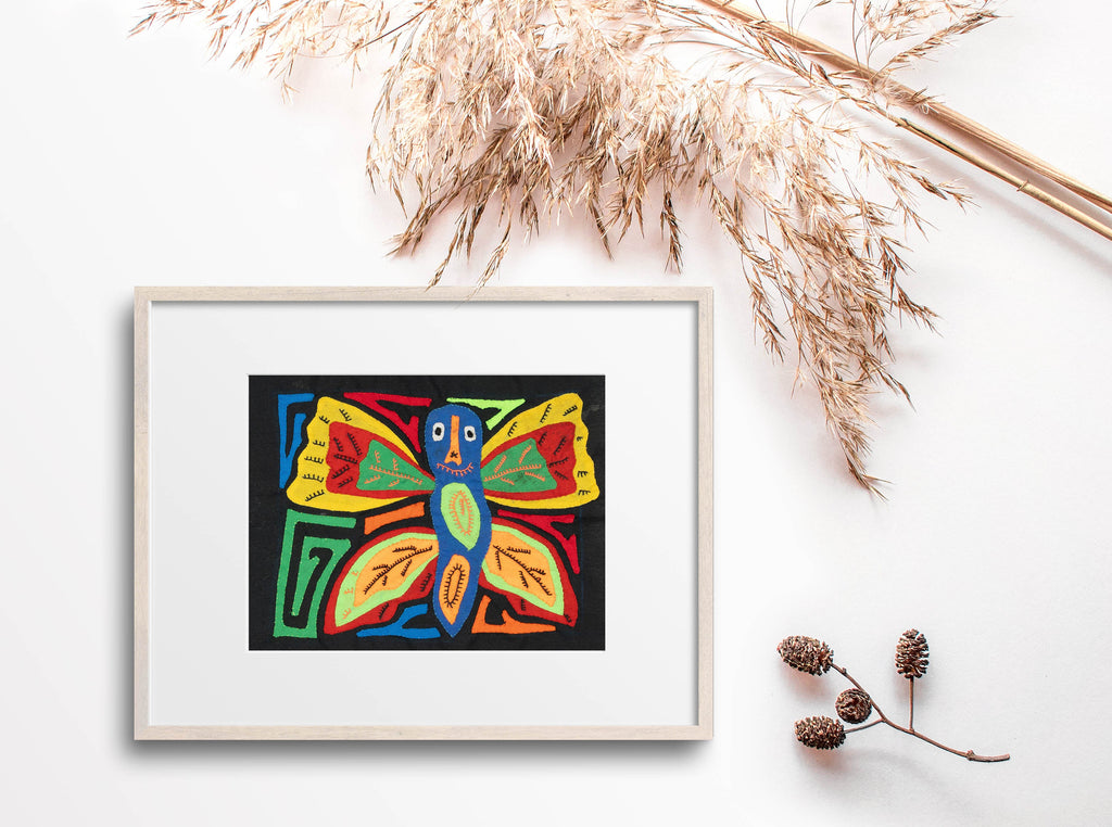 Multicolor Butterfly Molita