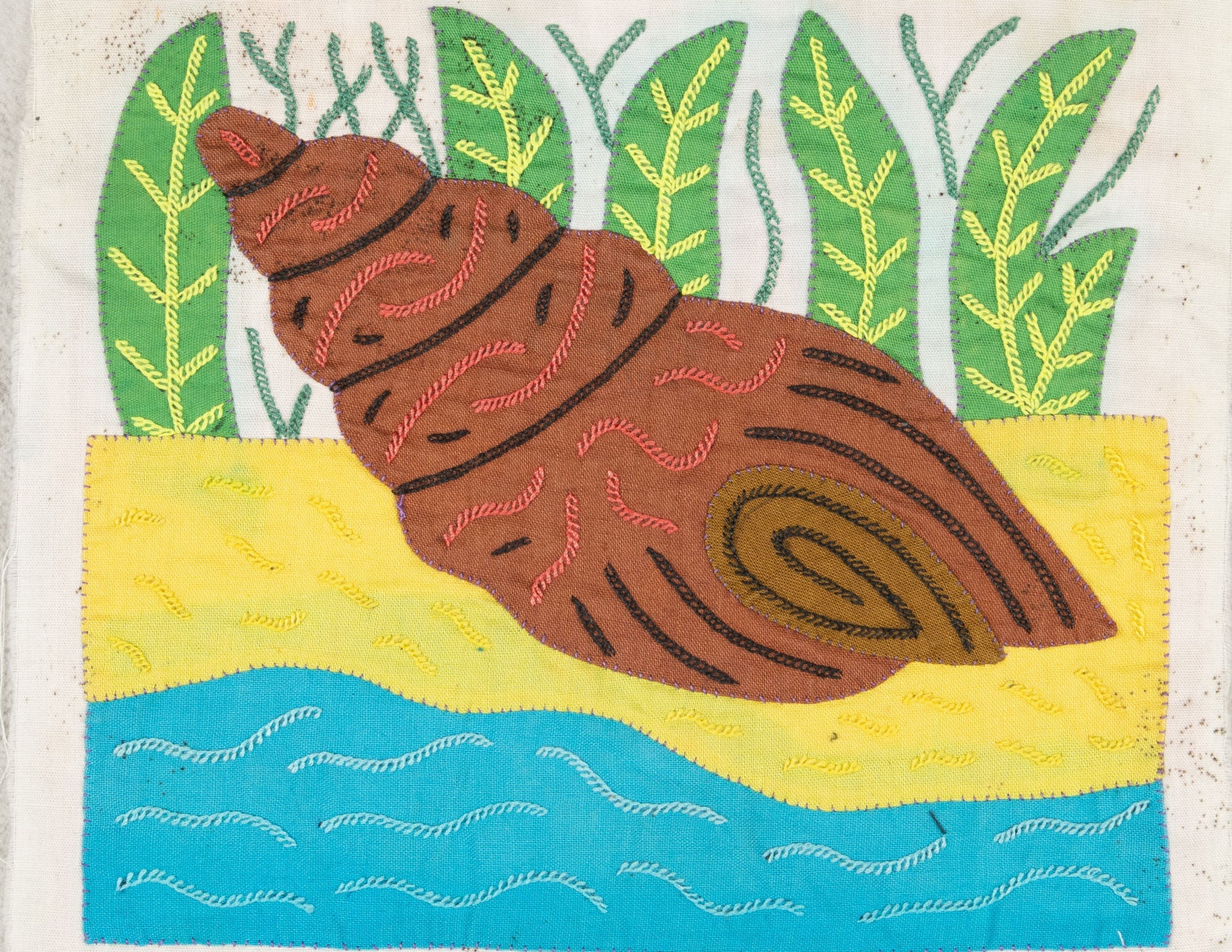 Brown And Yellow Fantasy Seashell Molita