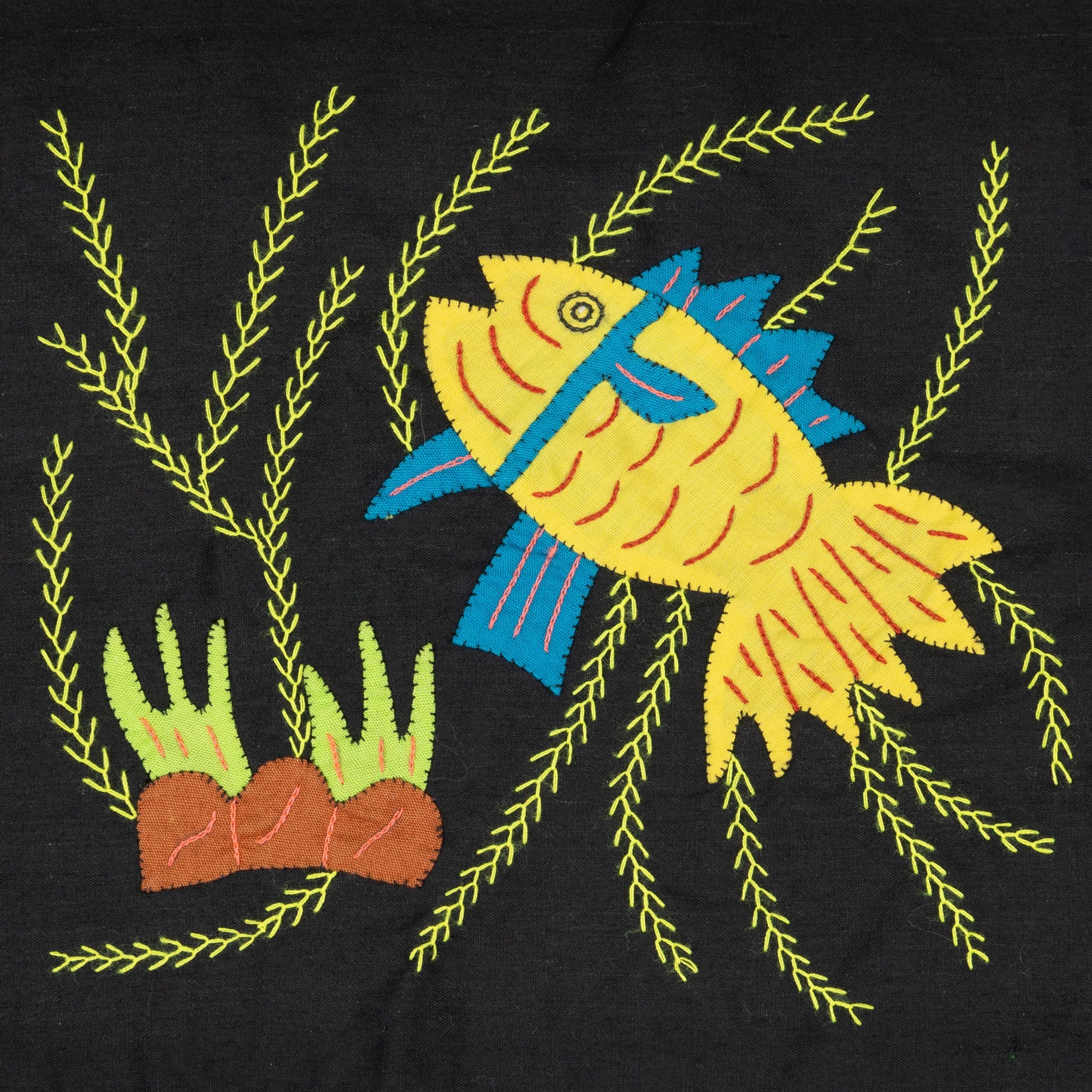 Blue And Yellow Fantasy Fish Molita