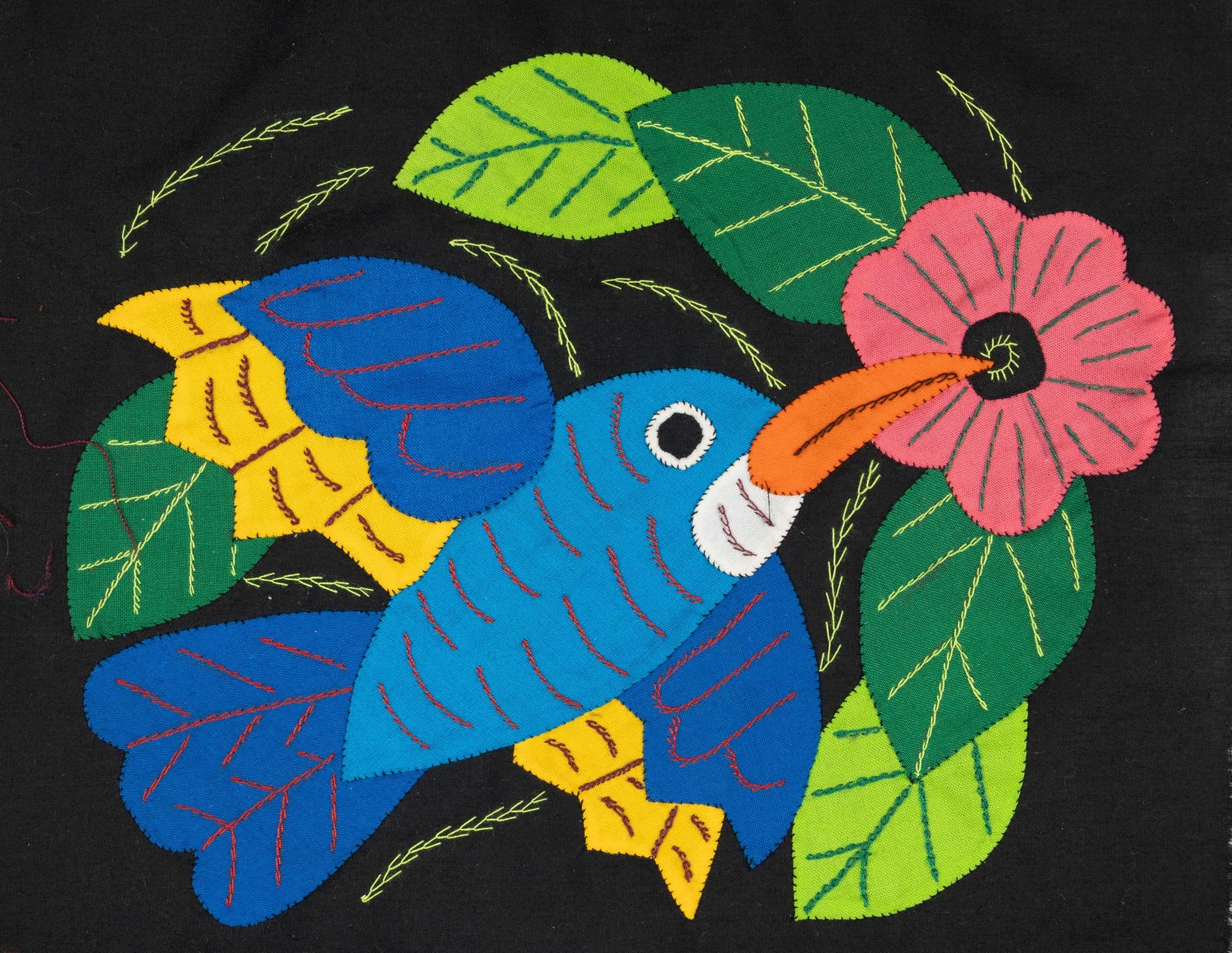 Blue Hummingbird Molita