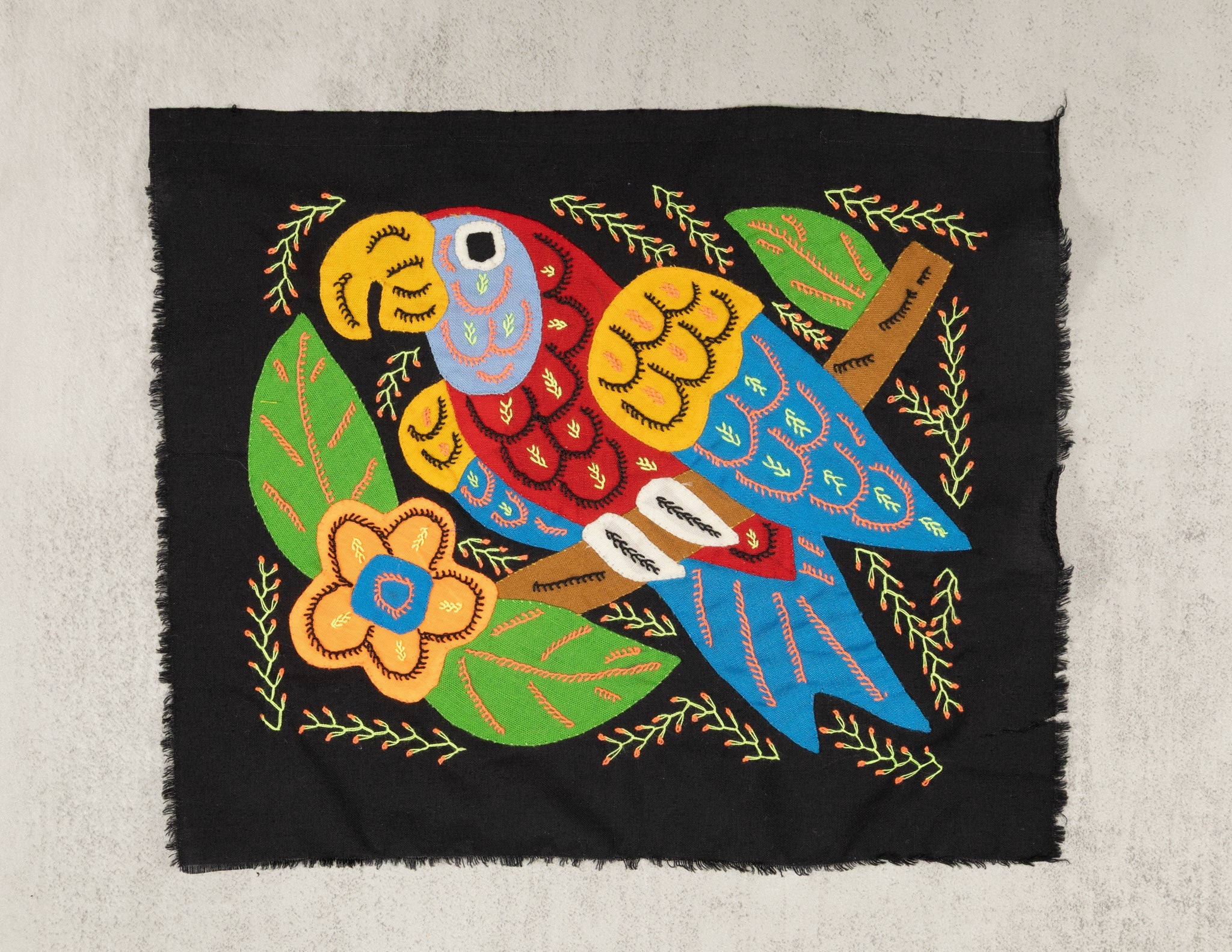 Multicolor Parrot Bird Red And Blue Molita