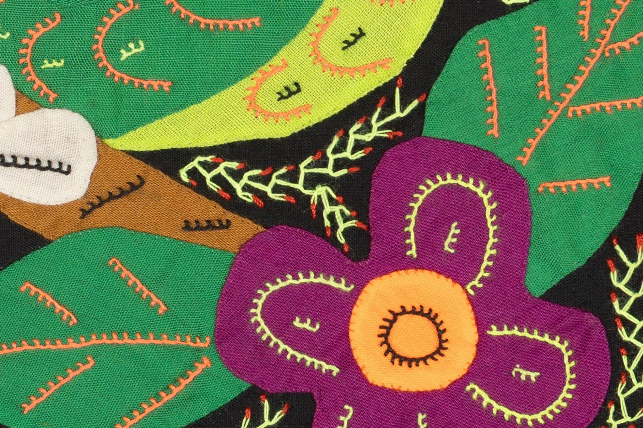 Multi-Color Parrot Bird Green And Purple Molita