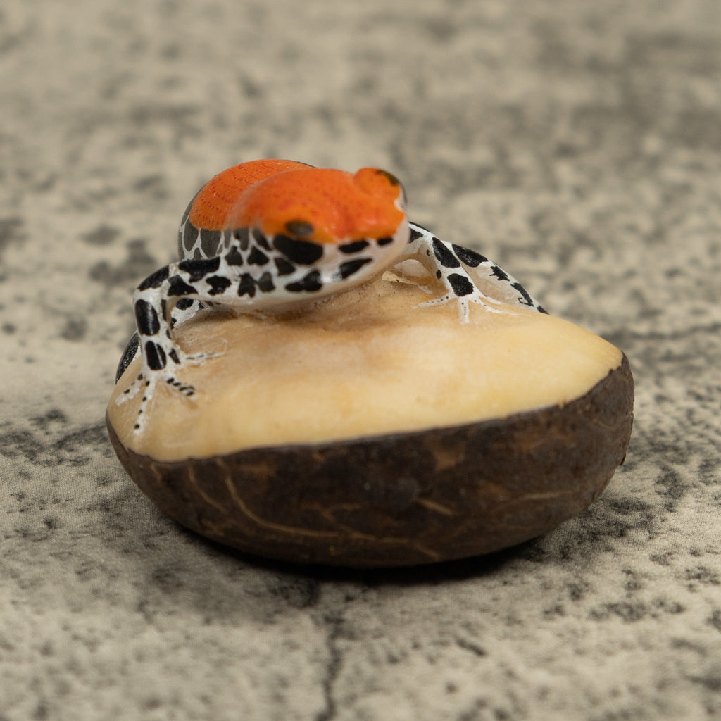 Red And Blue Frog Tagua Carving