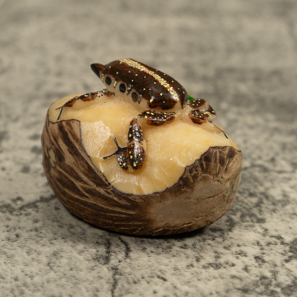 Brown And White Frog Tagua Carving
