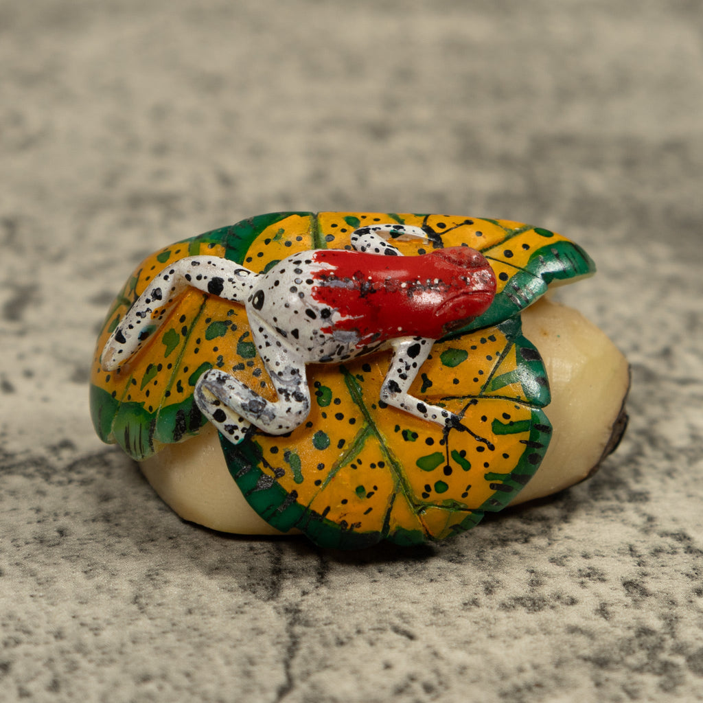 Red And White Frog Tagua Carving