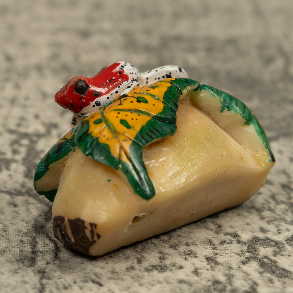 Red And White Frog Tagua Carving