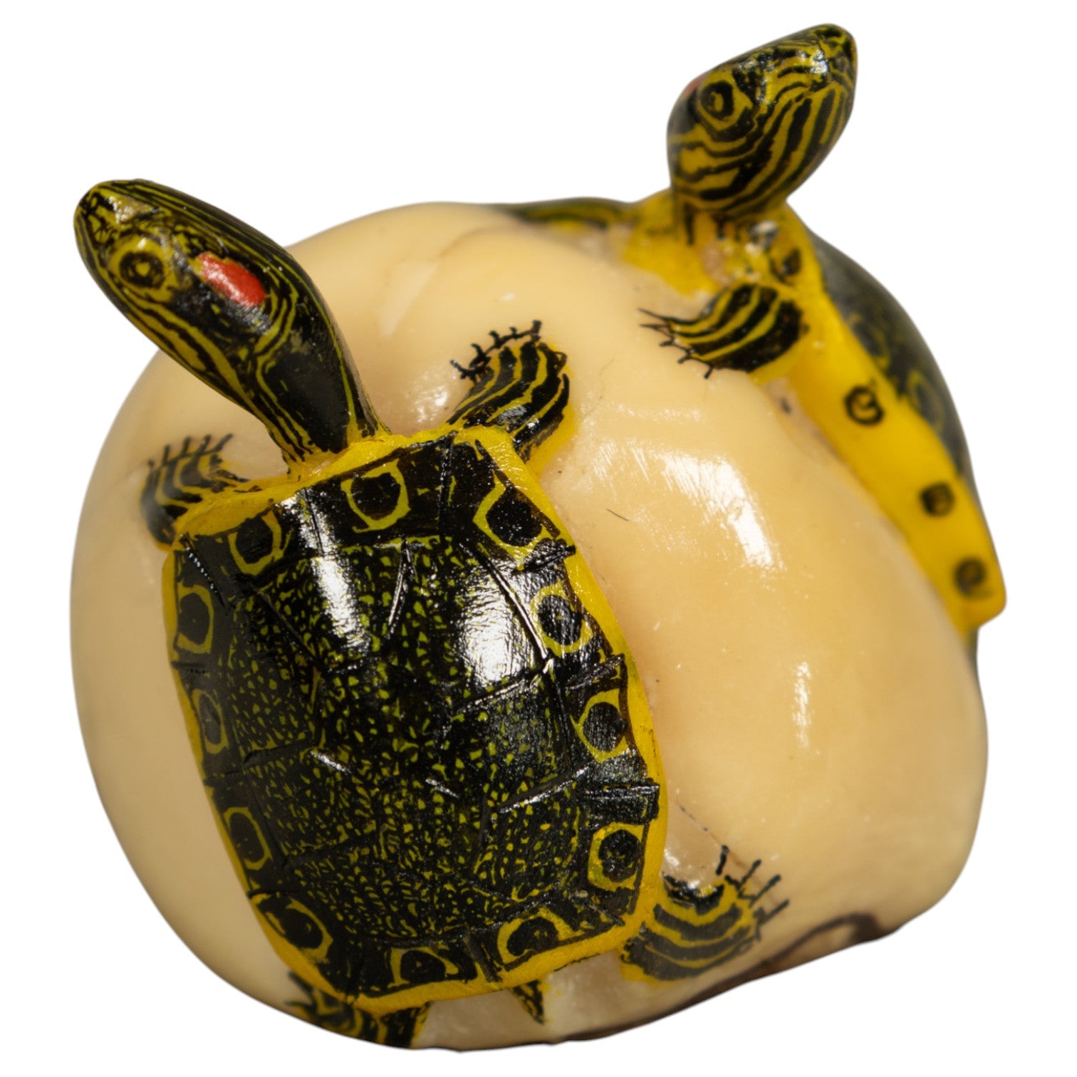 Double (2) Tortoise Turtle Tagua Carving